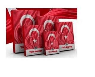 Mileo 1929 Türk Bayrağı 100x150 - 1