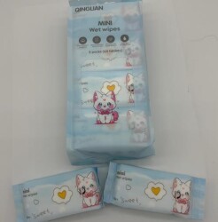 Mini Islak Mendil Karma - 3