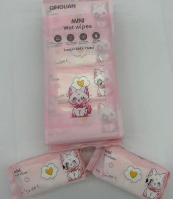 Mini Islak Mendil Karma - 4