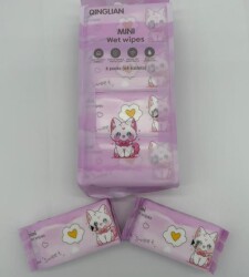 Mini Islak Mendil Karma - 6