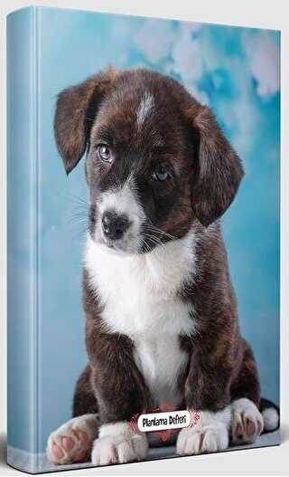 Minik Arkadaş - Süresiz Planlama Defteri - Halk Kitabevi