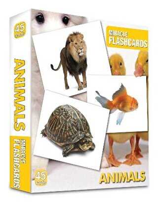 Miracle Flashcards - Animals Box 45 Cards