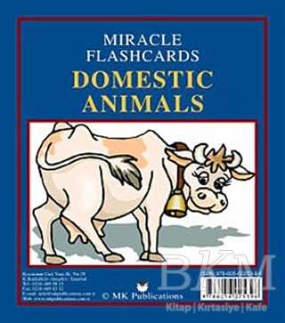 Miracle Flashcards - Domestic Animals