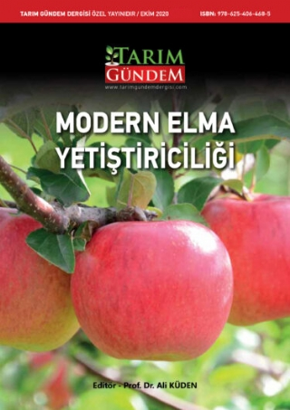 MODERN ELMA YETİŞTİRİCİLİĞİ - Tarım Gündem Dergisi