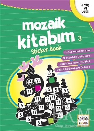 Mozaik Kitabım 3 - Nar Çocuk
