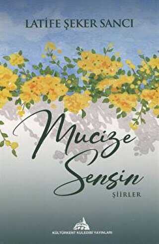 Mucize Sensin