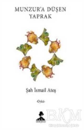 Munzur’a Düşen Yaprak - İmgenin Çocukları Yayınevi
