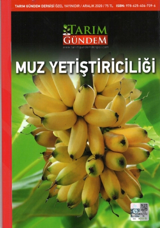 MUZ YETİŞTİRİCİLİĞİ - Tarım Gündem Dergisi