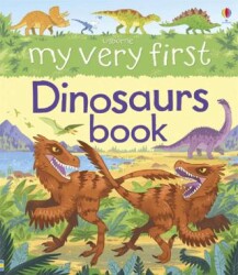My First Book: My Very First Dinosaurs Book - Usborne