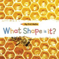 My First Maths: What Shape Is It? - Hachette Books