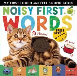 My First Touch and Feel Sound Book: Noisy First Word New Edition - Little Tiger Group