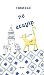 Ne Acayip - Şule Yayınları