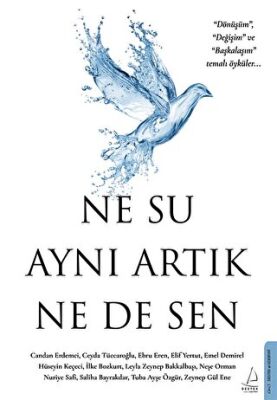 Ne Su Aynı Artık Ne de Sen - 1
