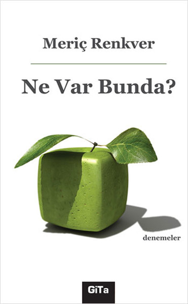 Ne Var Bunda? - Gita Yayınları