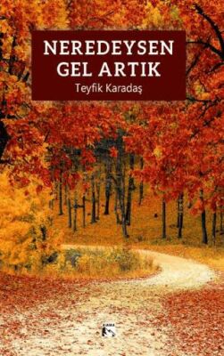 Neredeysen Gel Artık - 1