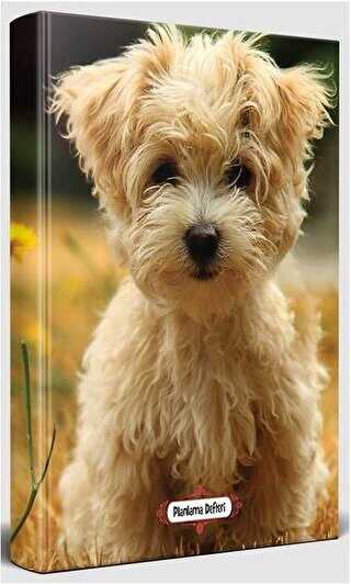 Neşeli Yüz - Süresiz Planlama Defteri - Halk Kitabevi