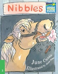 Nibbles - Cambridge Yayınları