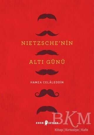 Nietzsche’nin Altı Günü - Edebi Şeyler