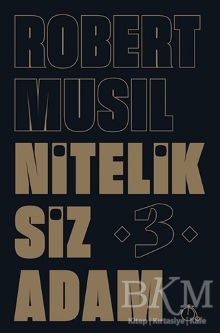 Niteliksiz Adam 3 - Aylak Adam Kültür Sanat Yayıncılık