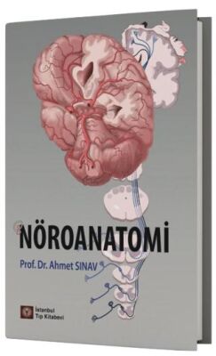 Nöroanatomi - 1