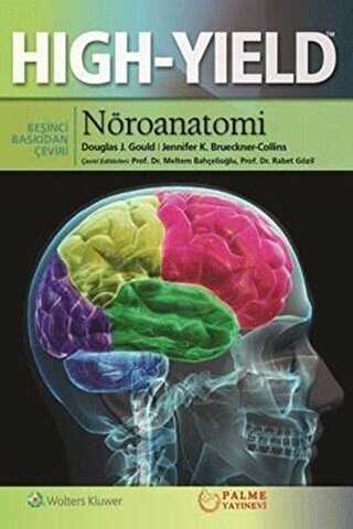 Nöroanatomi Hıgh Yıeld - 1