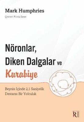 Nöronlar, Diken Dalgalar ve Kurabiye - 1