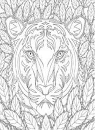 Nuh’un Gemisi Kaplan Tuval Boyama - EDAM