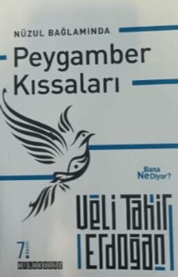 Nüzul Bağlamında Peygamber Kıssaları Bana Ne Diyor? kapağı