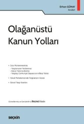 Olağanüstü Kanun Yolları - Seçkin Yayıncılık