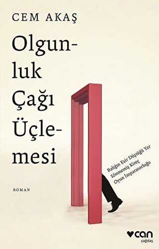 Olgunluk Çağı Üçlemesi - Can Yayınları