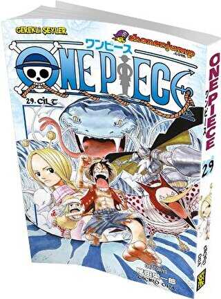 One Piece Cilt: 29