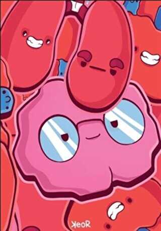 Organlar Defter - Apiko Defter