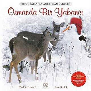 Ormanda Bir Yabancı - 1001 Çiçek Kitaplar