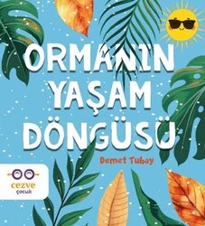 Ormanın Yaşam Döngüsü - Cezve Çocuk