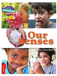 Our Senses - Cambridge Yayınları
