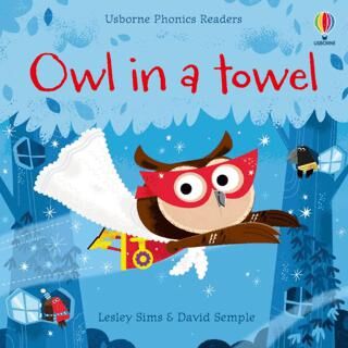Owl in a Towel - 1