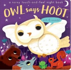 Owl Says Hoot - A Noisy Touch-and-Feel Night Book - Little Tiger Group