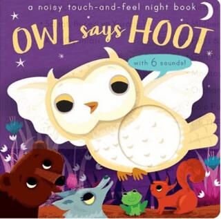 Owl Says Hoot - A Noisy Touch-and-Feel Night Book - 1