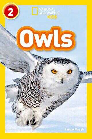 Owls Readers 2