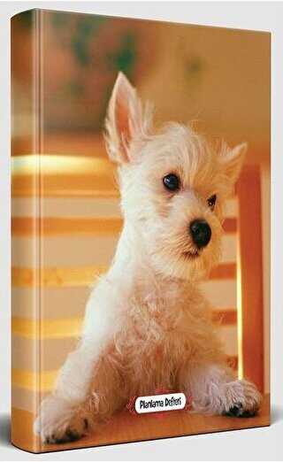 Pamuk Seker - Süresiz Planlama Defteri - Halk Kitabevi