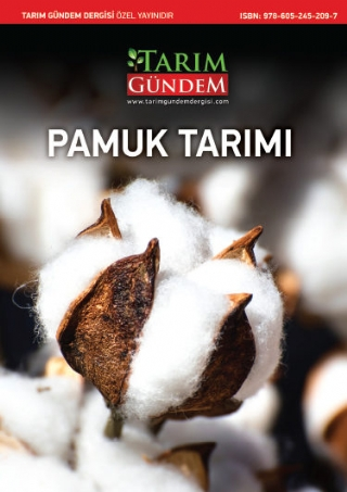 PAMUK TARIMI - Tarım Gündem Dergisi