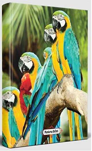 Papağan Ailesi - Süresiz Planlama Defteri - Halk Kitabevi