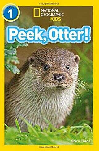 Peek, Otter! Readers 1