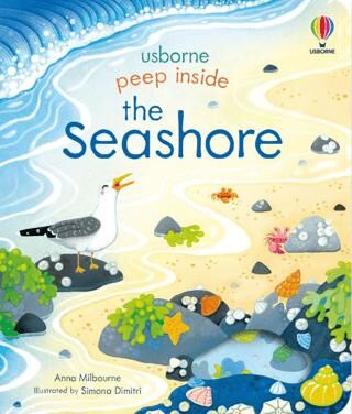 Peep Inside the Seashore - 1