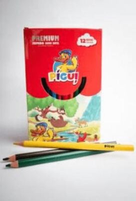 Pigui Jumbo Kuru Boya Kalemi 12 Renk - 1