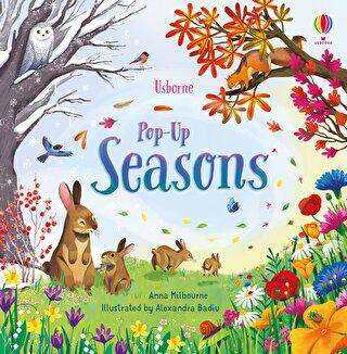 Pop-up Seasons - Usborne