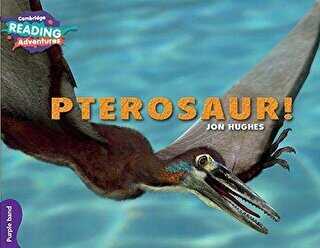 Pterosaur!