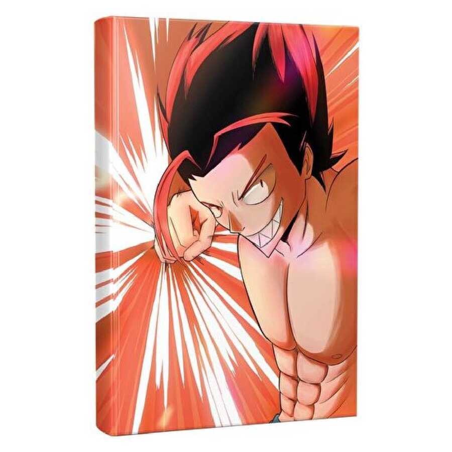 Punch Anime-manga Planlama Defteri - Halk Kitabevi