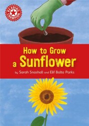 Reading Champion: How to Grow a Sunflower - Franklin Watts