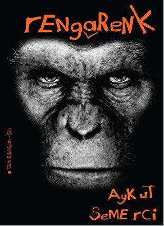 Rengarenk - Semerci Yayınları